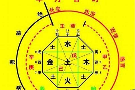 八字十神查詢|生辰八字算命、五行喜用神查詢（免費測算）